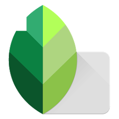 Snapseed - Google 出品的专业修图 App logo
